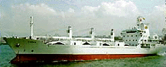Seafreight Services