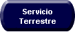 Servicio Terrestre