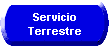 Servicio Terrestre